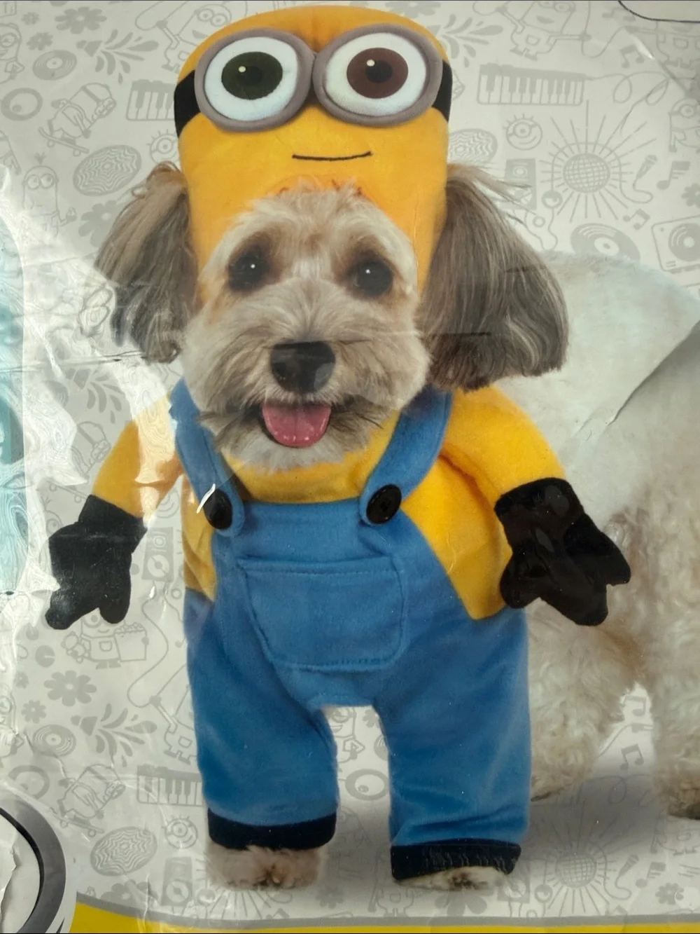 Rubie's Pets Minion Bob Dog Costume - Yellow & Blue Size Small